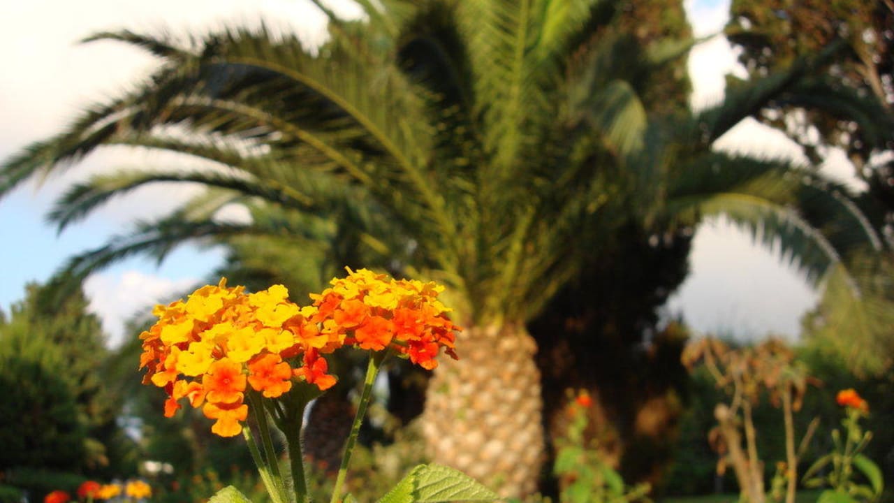 Gepflegte Gartenanlage Aldiana Club Rocca Nettuno Calabria