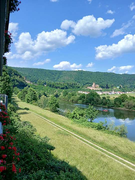 Ausblick Hotel Vierburgeneck Neckarsteinach