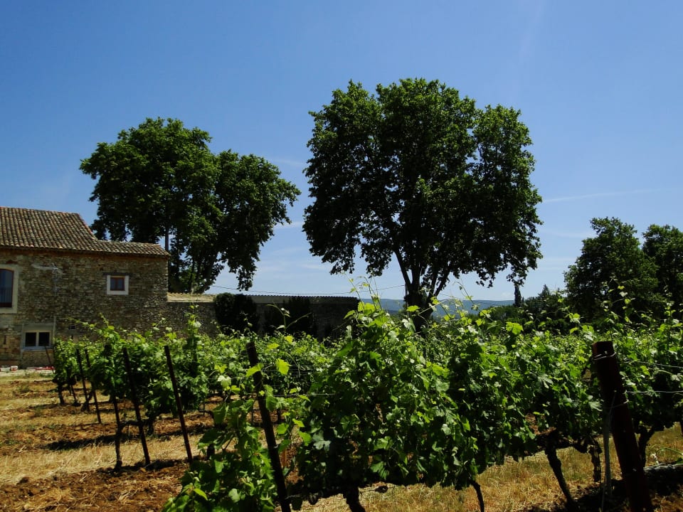 Weinberge Hotel Le Leyrac