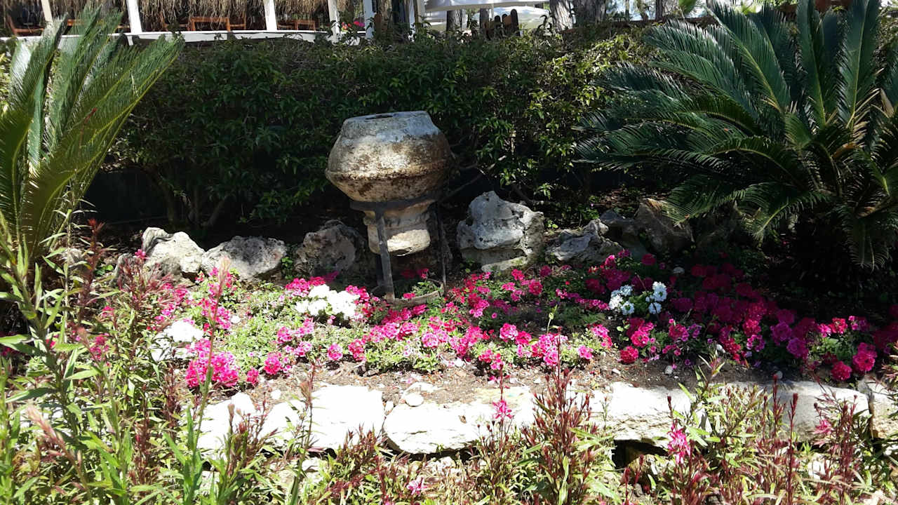 Schön angelegte Gartenanlage Balmy Foresta