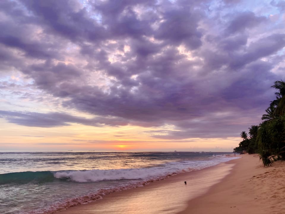 Strand Hotel Haus am Meer Wilde Ananas