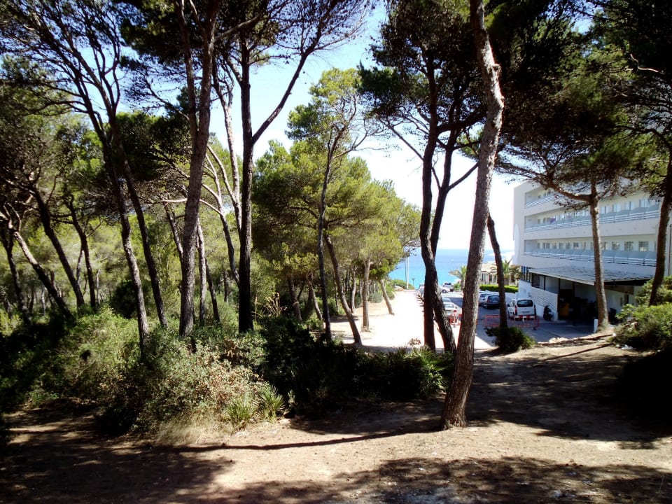 Pinienwald Hotel & Spa S'Entrador Playa