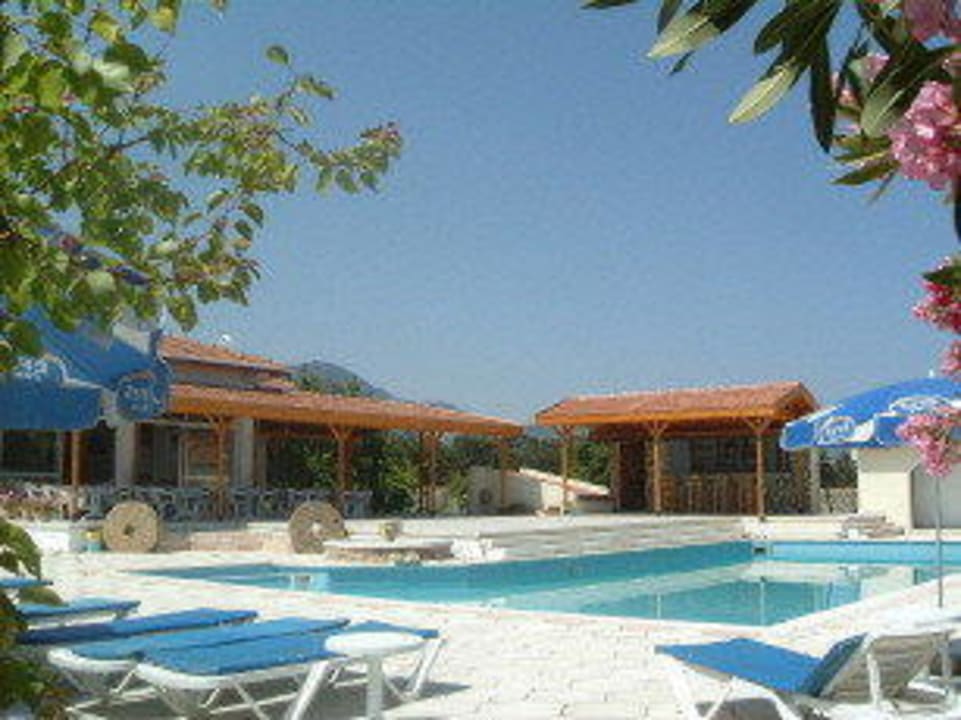 Paradise pool Paradise Bungalows