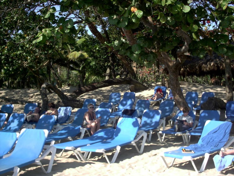 Strandliegen Sunscape Puerto Plata
