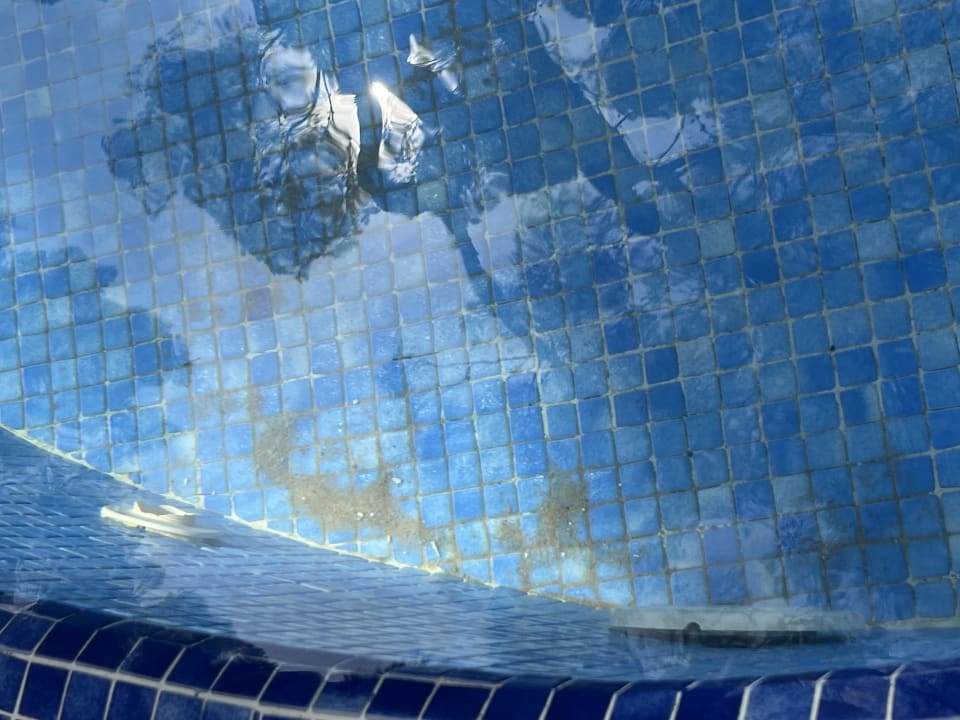 Pool Ona Palmira Paguera