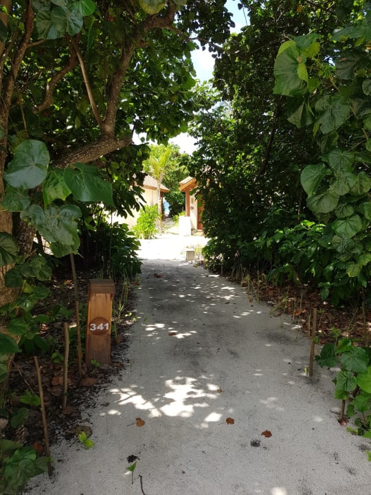 Gartenanlage Reethi Faru Resort