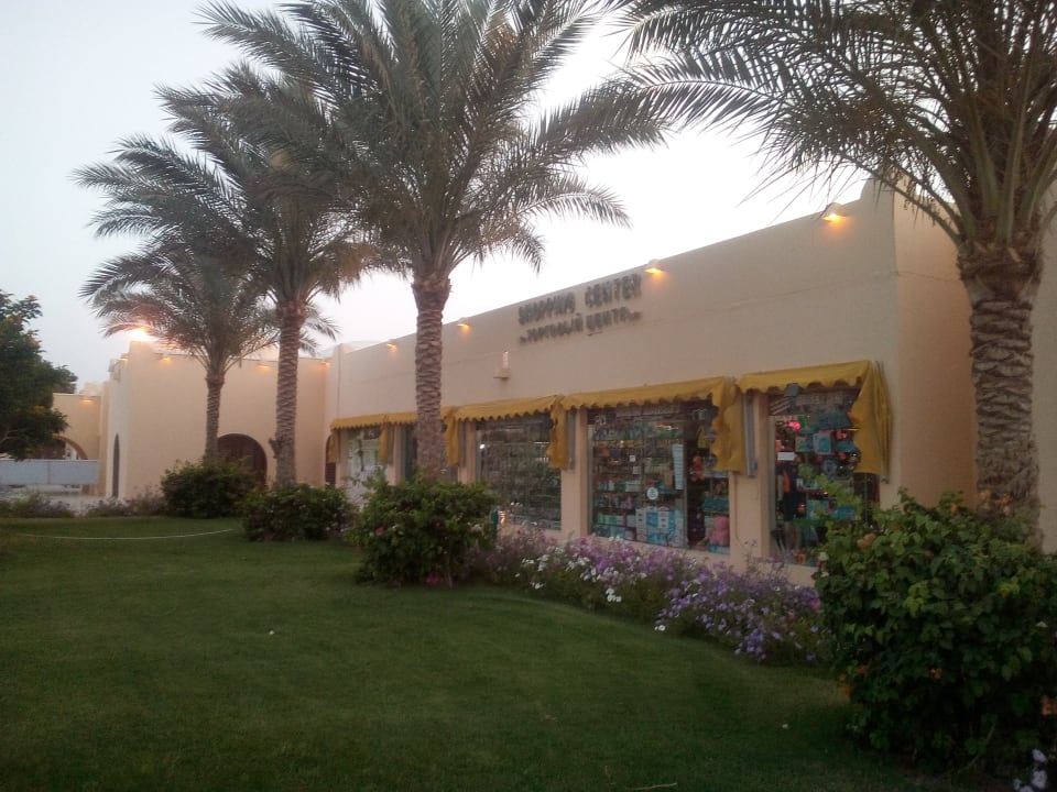 Gartenanlage Desert Rose