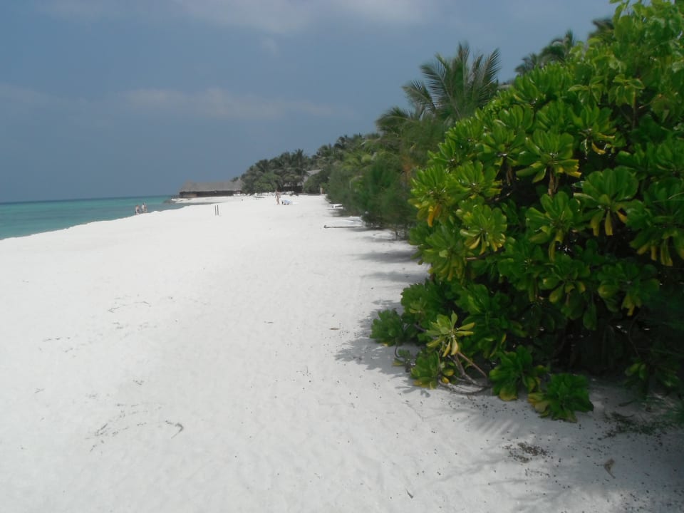 Traumstrand Summer Island Maldives