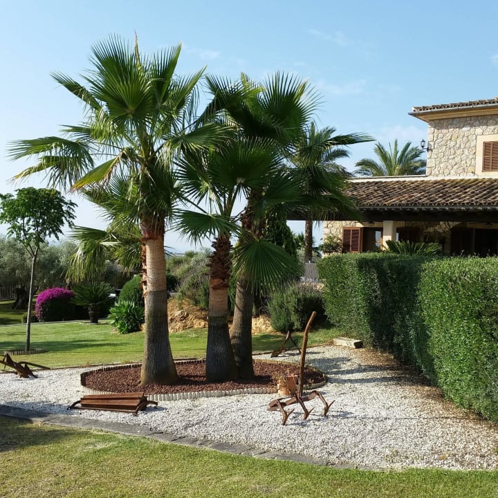 Garten Finca Ses Oliveres