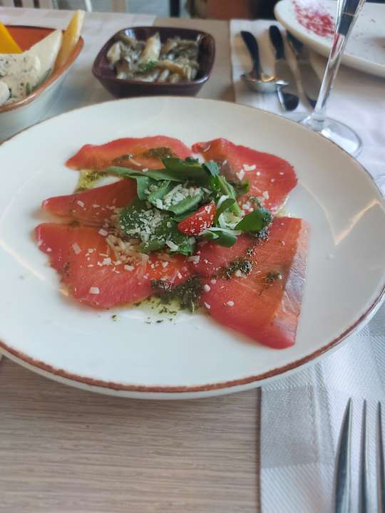 Gastro Seashell Vega