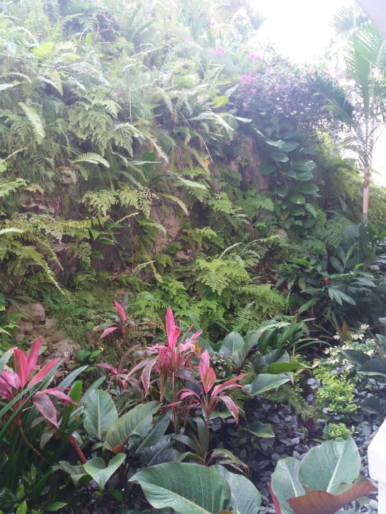 Gartenanlage Bahia Principe Grand Samana - Adults Only