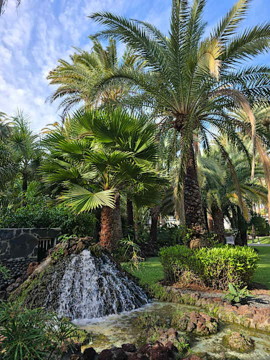 Gartenanlage Hotel Riu Palace Oasis