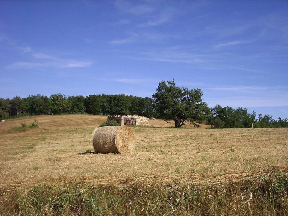 A spasso per l'azienda Hotel Agriturismo Bio Le Macchie Alte
