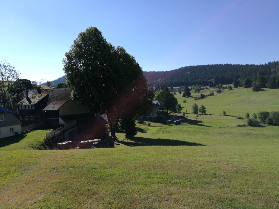 Ausblick derWaldfrieden naturparkhotel