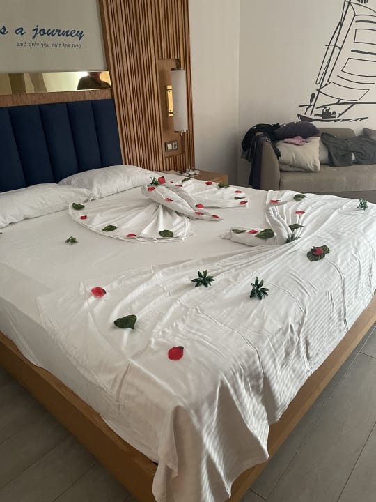 Zimmer Sidemarin Kirman Premium