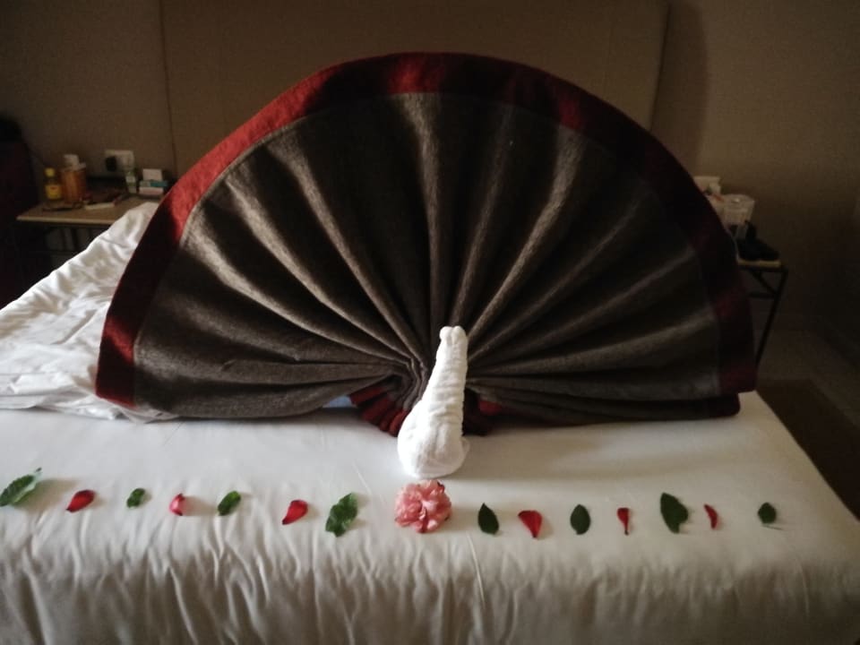 Zimmer Jaz Makadi Oasis Resort