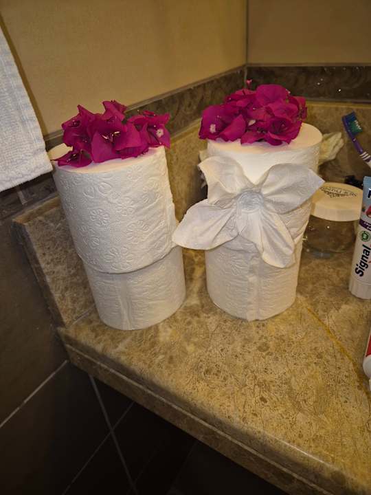 Zimmer Side Prenses Resort & Spa