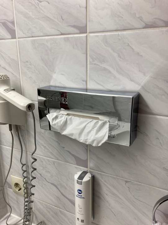 Zimmer Best Western Parkhotel Brehna - Halle