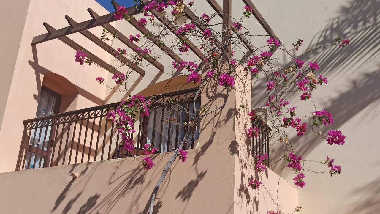 Außenansicht Jaz Makadi Saraya Resort