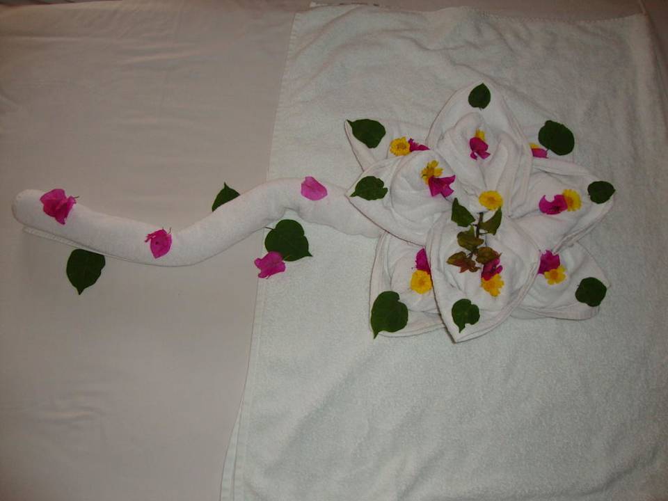 Motiv auf dem Bett Pickalbatros Aqua Blu Resort - Sharm El Sheikh