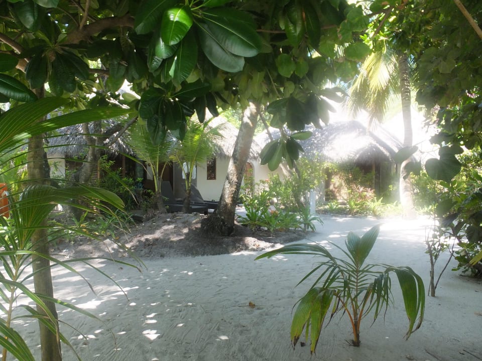 Hotel Kuramathi Island Resort Kuramathi Maldives