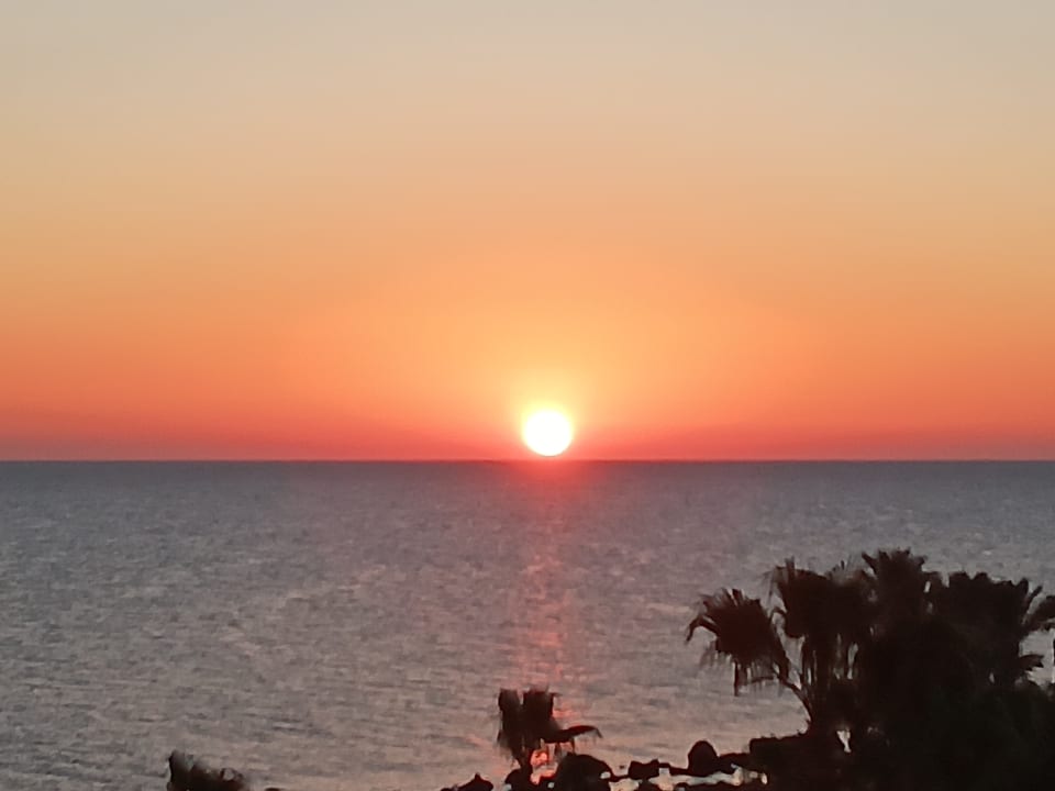 Ausblick Pickalbatros Citadel Resort