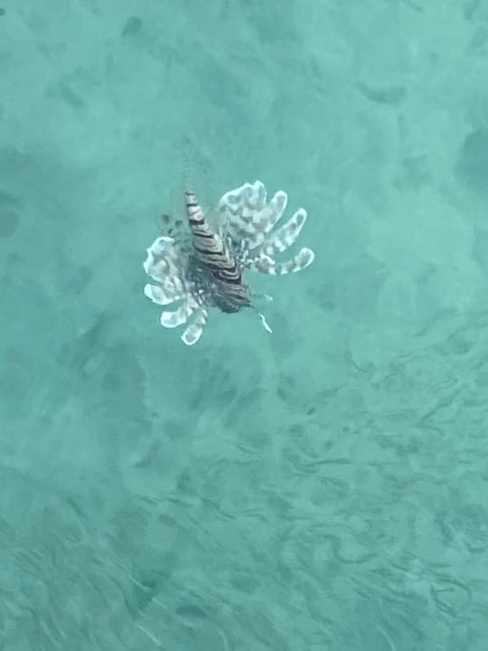 Strand Casa Mare Resort