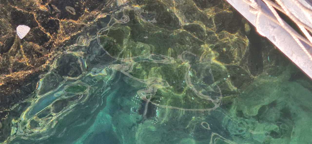 Strand Seven Seas Palmeras Bay Alanya