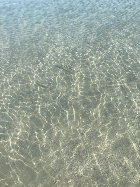 Strand TUI MAGIC LIFE Kalawy