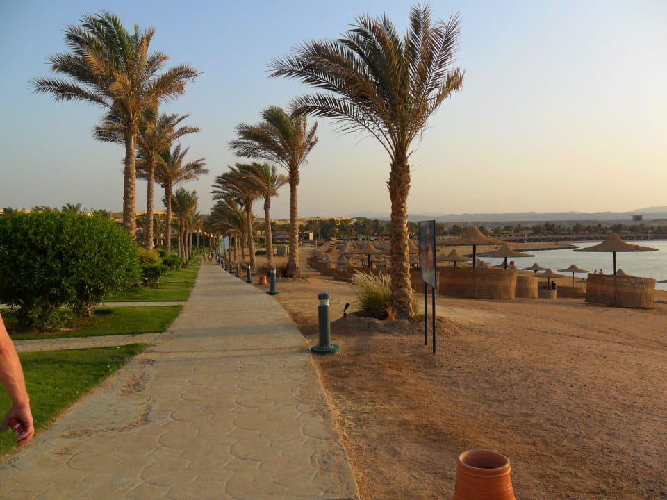 Weg am Starnd Jaz Dar EL Madina