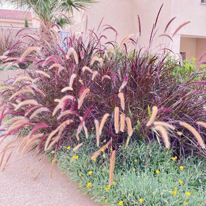 Gartenanlage Cora Hotel & Spa