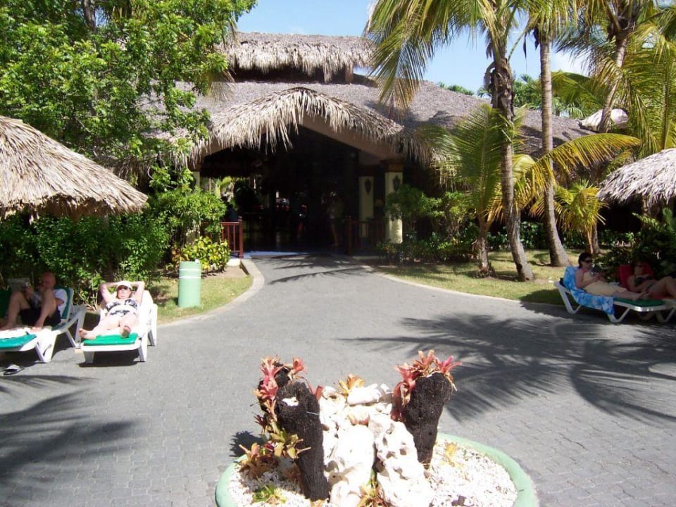 Empfangshalle mit Rezeption (von außen) Playabachata Hotel