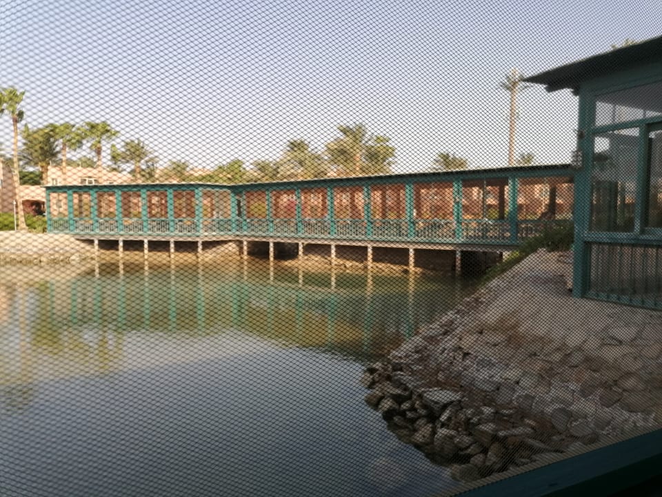 Gastro Club Paradisio El Gouna, Red Sea
