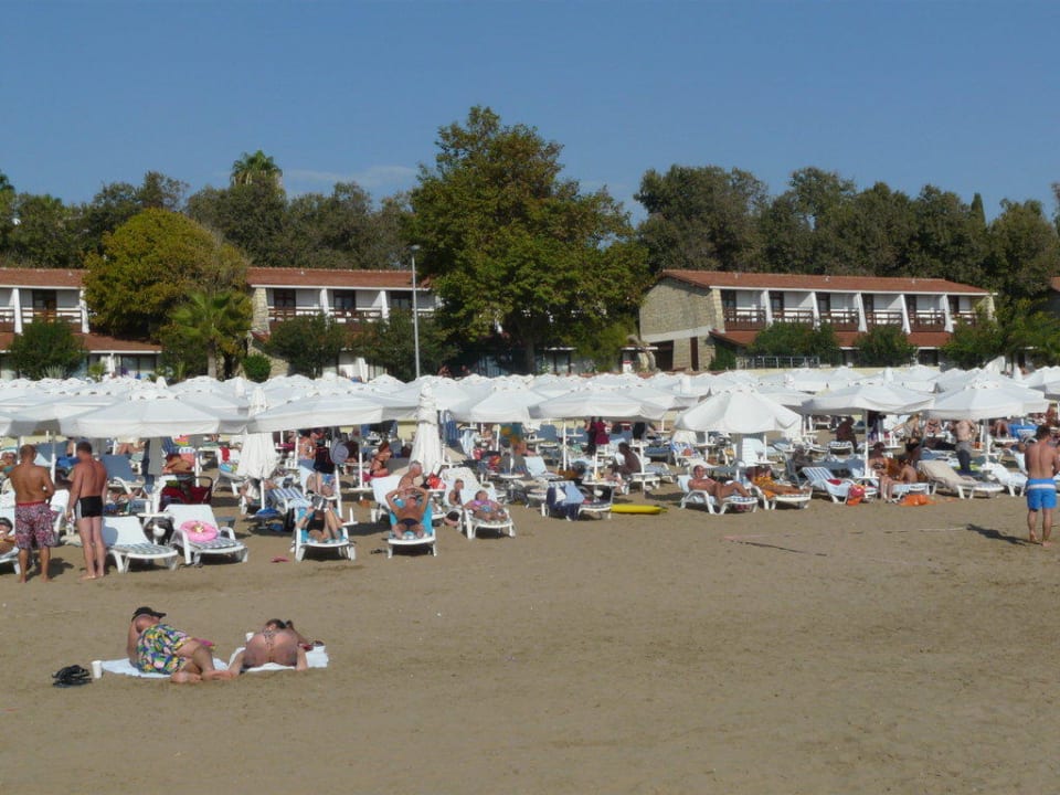 Stand noch einmal Horus Paradise Luxury Resort & Club