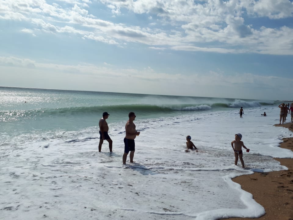 Strand Sentido Marea