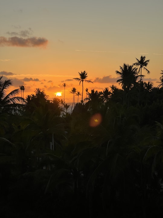 Ausblick Lopesan Costa Bávaro Resort, Spa & Casino