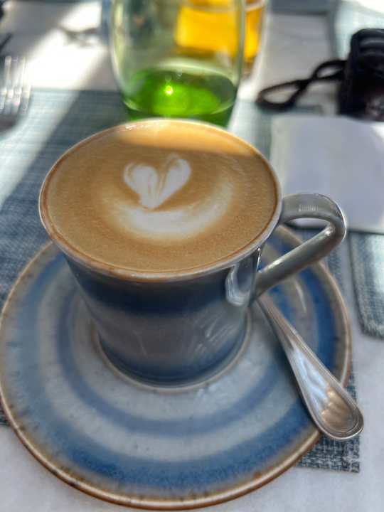 Gastro JAZ Elite Amara