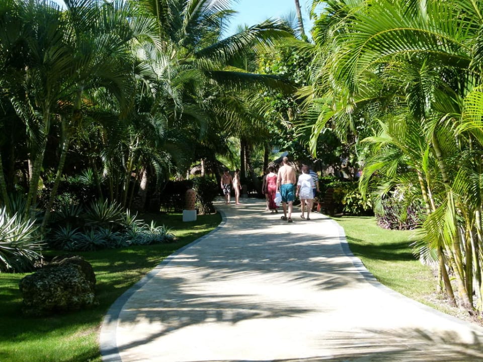 Hotel Dreams Punta Cana Wyndham Alltra Punta Cana