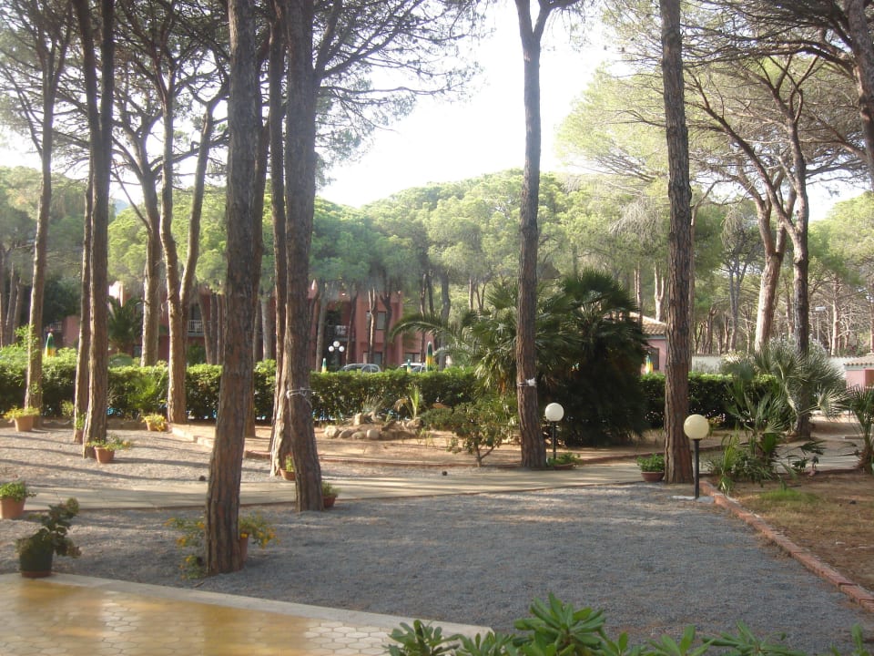 Borovicový lesík Hotel New Barcavela