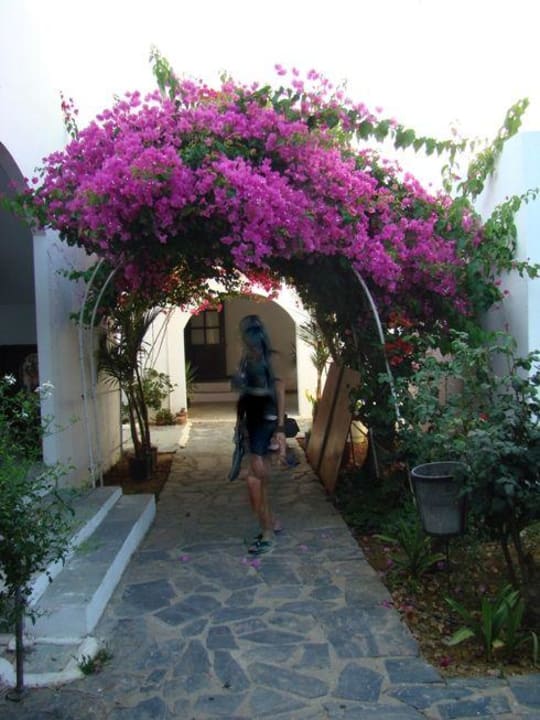 Hotel Hotel Geraniotis Beach