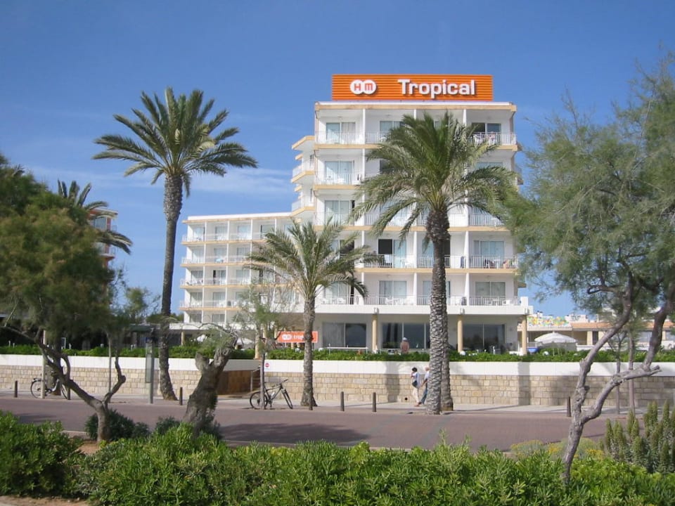 HM Tropical HM Tropical