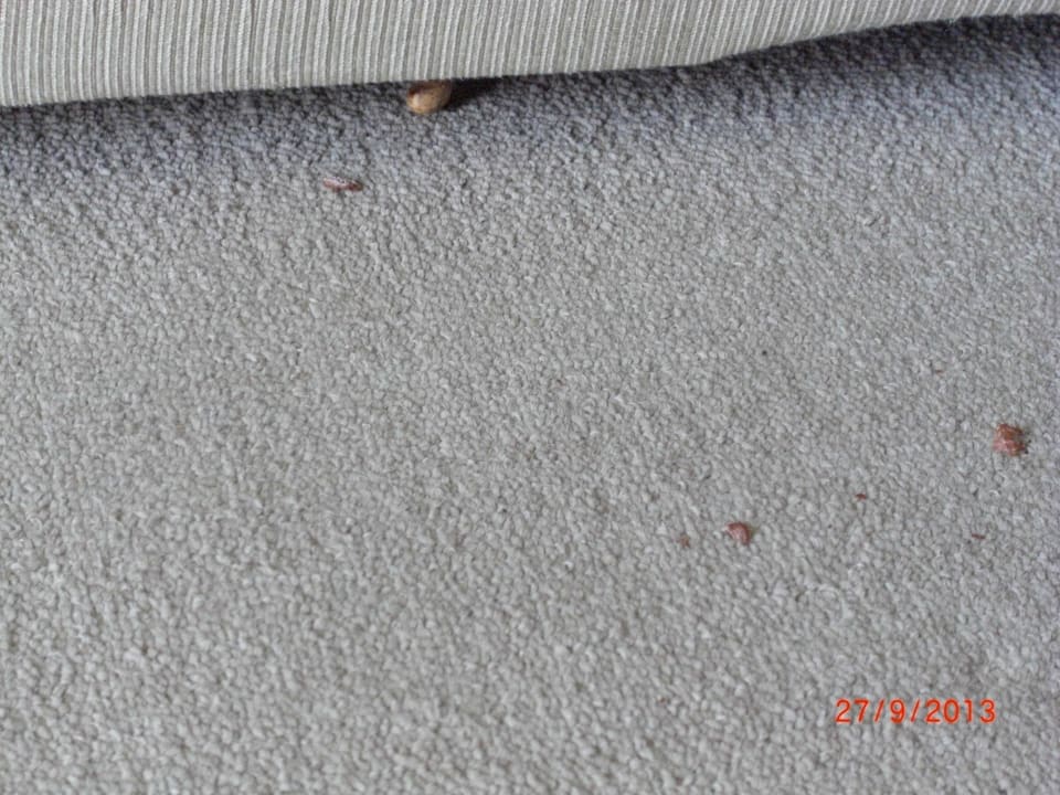 Nach dem putzen. Sol Luna Bay