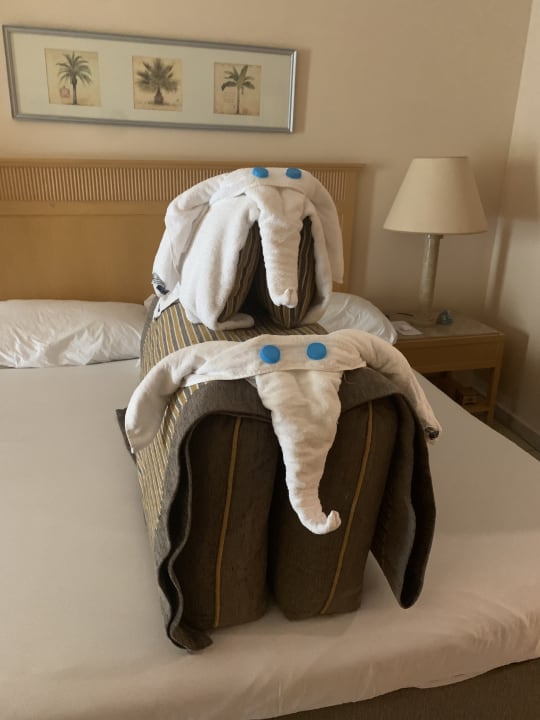 Zimmer Hotel JAZ Makadi Star & Spa