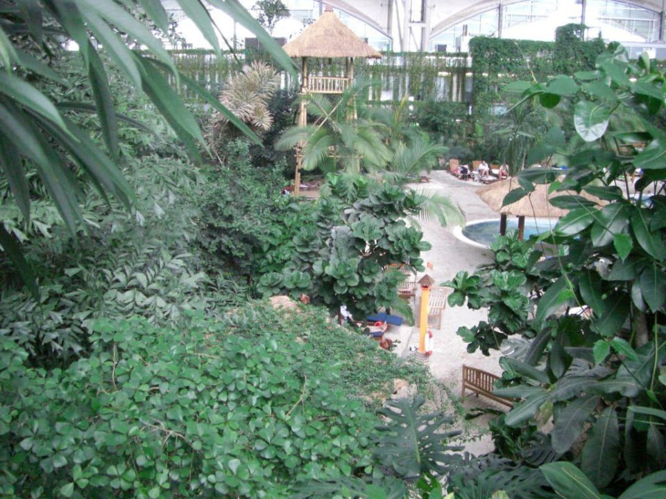 Tropical Tropical Islands Resort