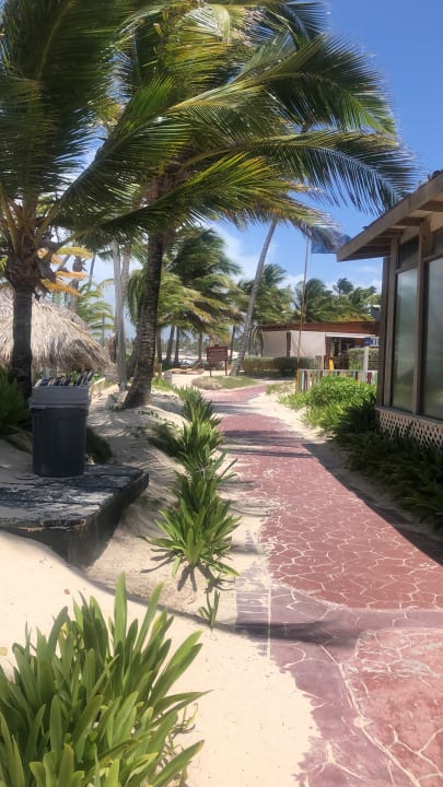 Strand Vik Hotel Arena Blanca & Cayena Beach