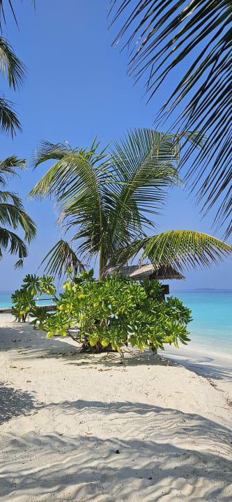Strand Adaaran Select Meedhupparu Island Resort - Premium All Inclusive