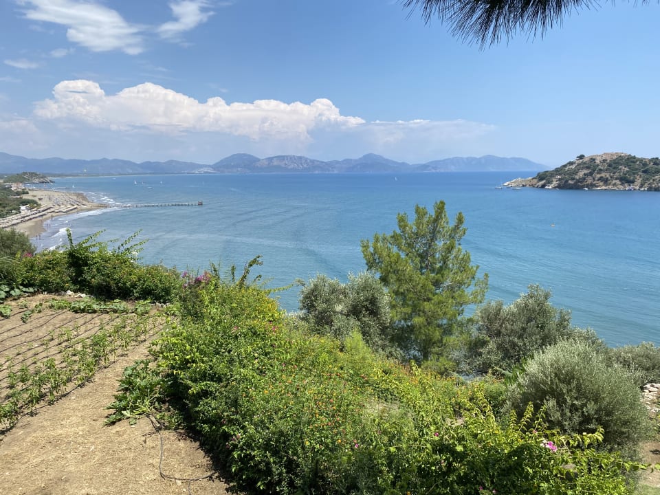 Ausblick TUI BLUE Seno - Adults Only