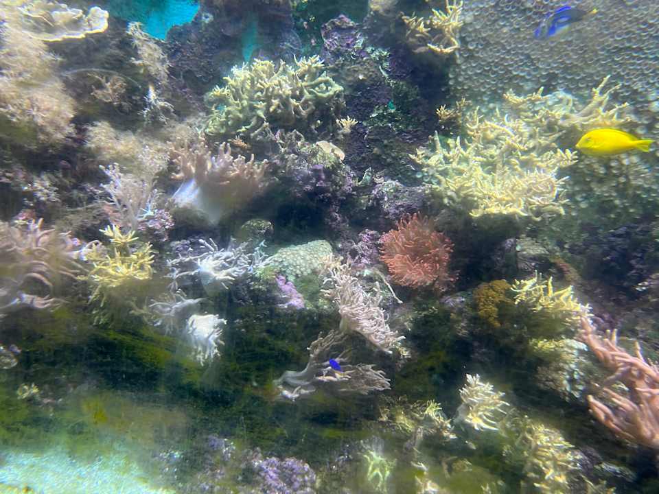 Pool Center Parcs De Kempervennen