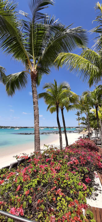 Ausblick Mauricia Beachcomber Resort & Spa