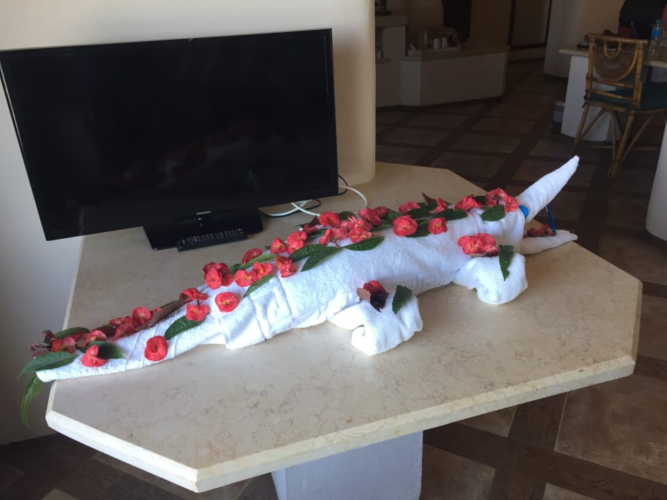 Zimmer Pickalbatros Citadel Resort